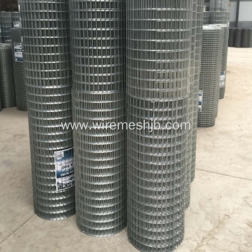 High Quality Welded Wire Mesh Rolls